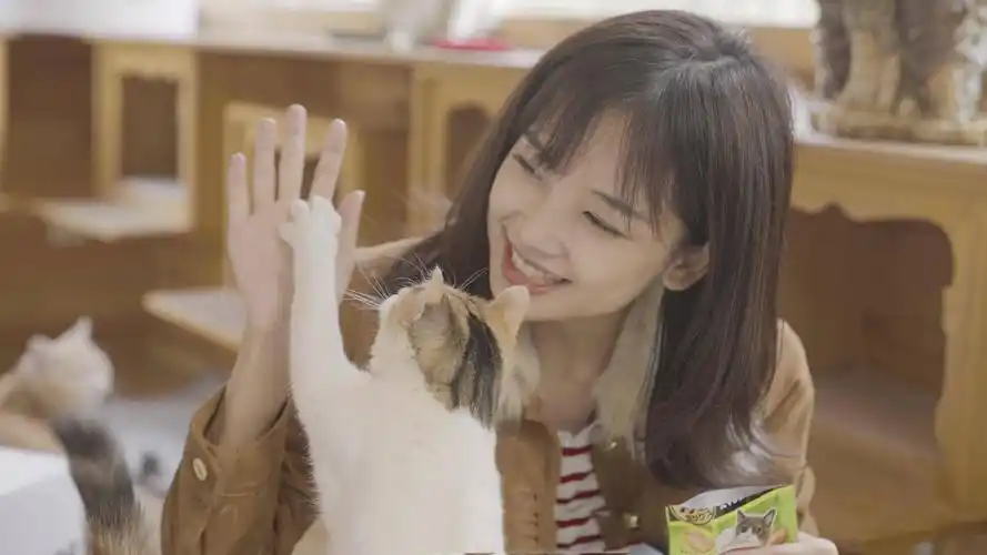 31岁王冰冰晒旧照长发披肩模样甜美却遭网友调侃发际线过高