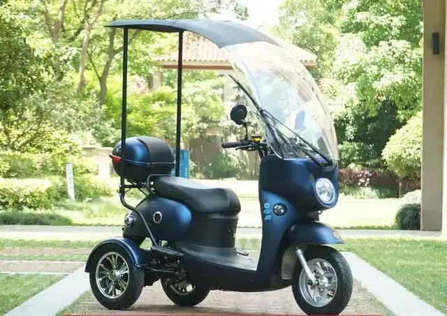 带蓬老年代步三轮(3款带雨棚的电动小三轮来了)(8)