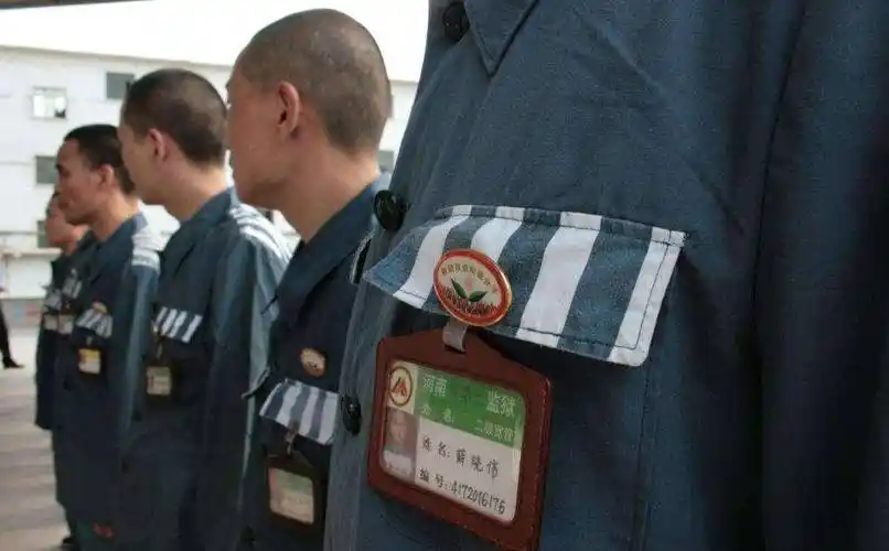 为了方便区分,每个级别都会有特定的胸牌.