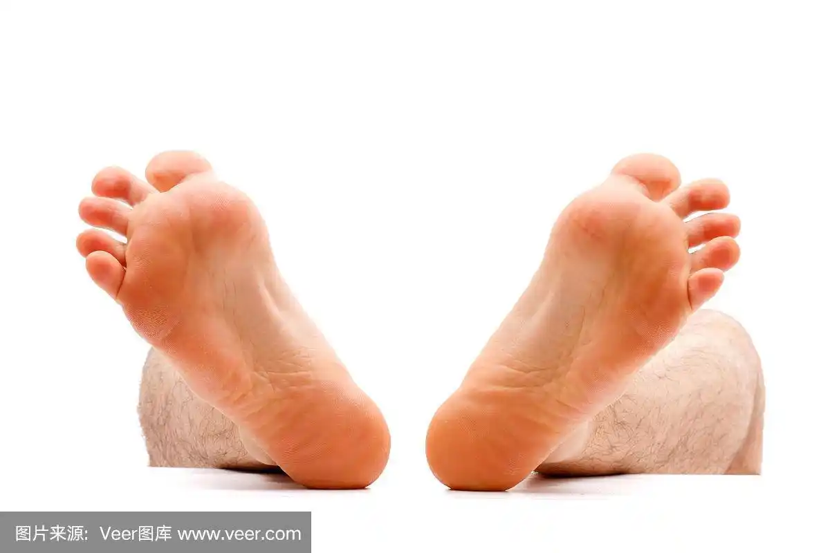 足,压力,脚掌,肌肉收缩作用,人类脚趾