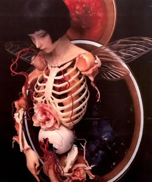 从情色,耽美,宗教,日本美学,吸血鬼到死亡黑暗和