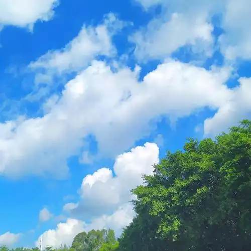 天气晴朗时候的云朵