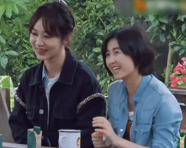 原创杨紫加盟向往的生活让张子枫的委屈得以释放了