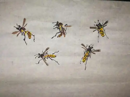 画蜜蜂(老年大学教学实录)