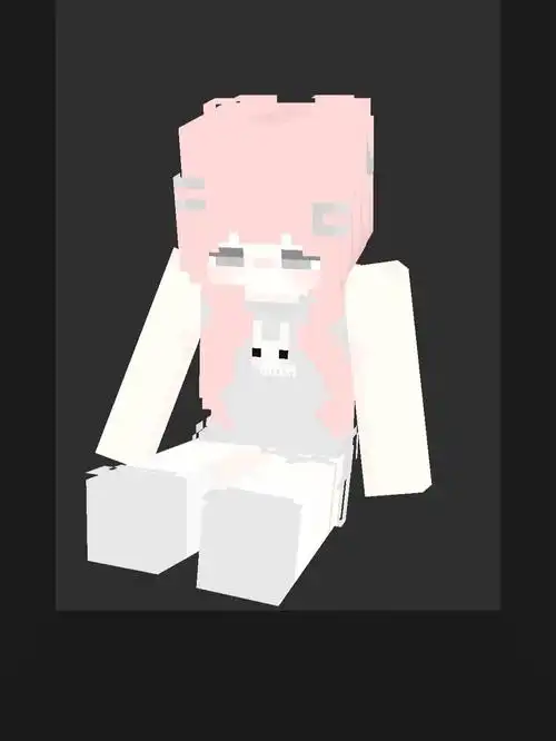 129灰兔女我的世界皮肤定制