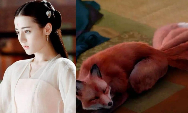 就是一只白色的九尾狐,而且还是四海八荒第一美女,看过白浅真身的人