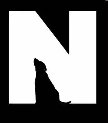 这就是卢宾反转图形