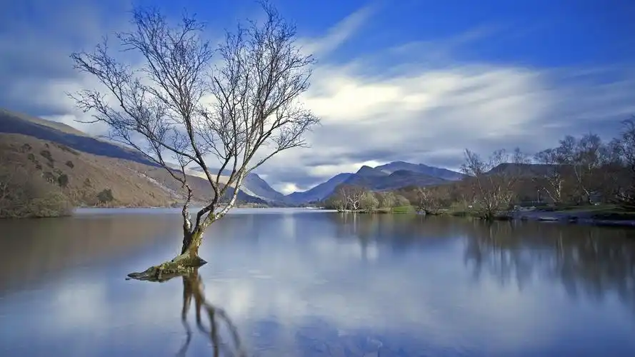首页 自然和风景 湖 湖,树,山,云,黎明 壁纸 下载 1920x1080 全高清