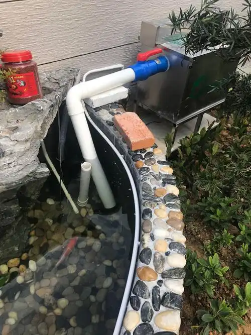 20000湖州进口锦鲤鱼鱼池水处理