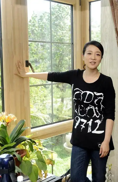 陈小艺胖也是一种美穿绿色礼服裙像大妈却很高雅十分耐看