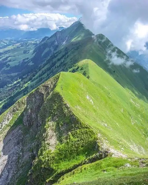 壁纸 风景 690_862 竖版 竖屏 手机