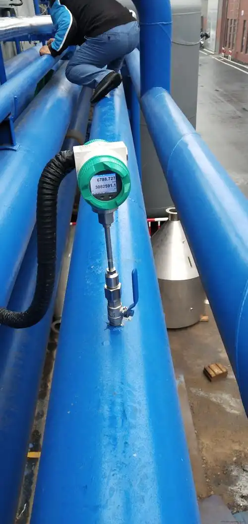 德国cs 热式气体质量流量计 va520