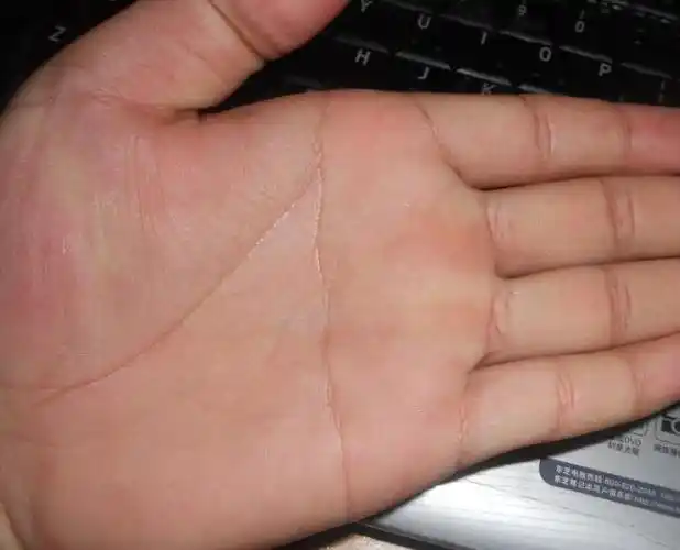左手断掌纹是不是这样的?