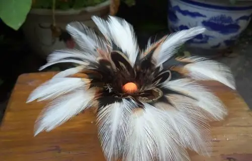 【】苗族阿婆爱心全手工缝制鸡毛毽子 野鸡毛毽子层层叠叠 儿时伙伴