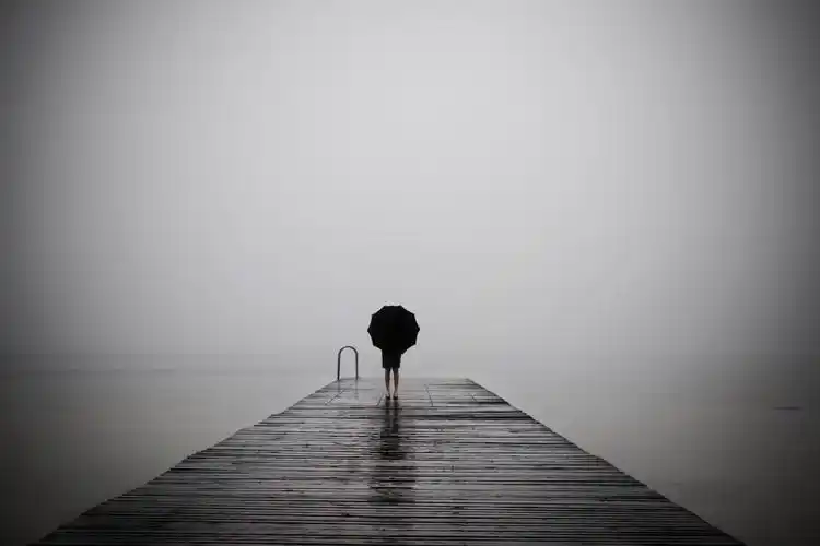 优雅的女人拿着黑色雨伞在朦胧的风景里