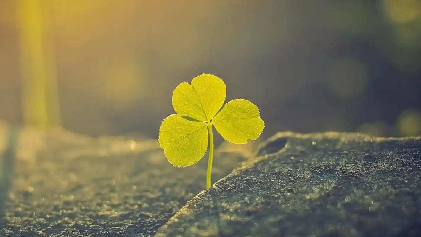 清新护眼的简约唯美风景图片桌面壁纸