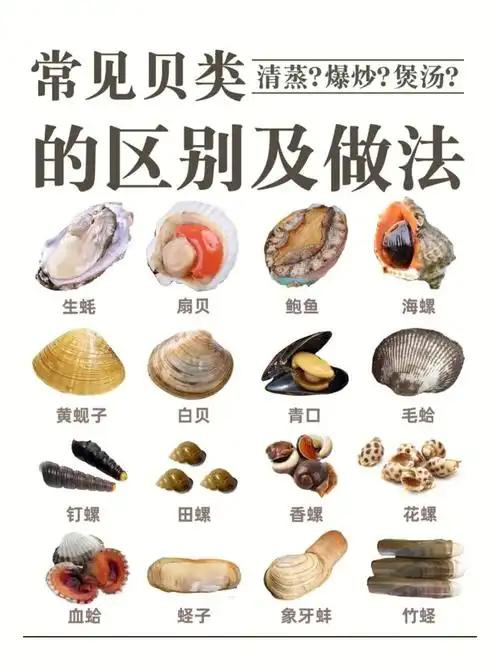 确保贝类的新鲜,这里有一个小诀窍,那就是新鲜的海鲜贝壳都是是紧闭的