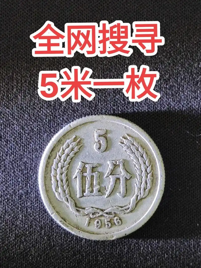老版人民币 #硬币收藏 #70后 这样的五分硬币大家应该比 - 抖音