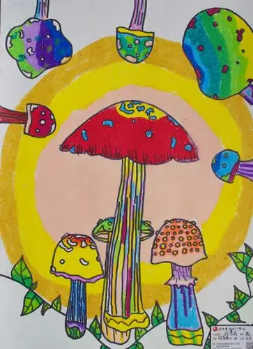 2017春季越文学子美术作品个展——钱英彤(创意美术精品班)