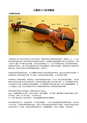 小提琴入门自学要点.doc