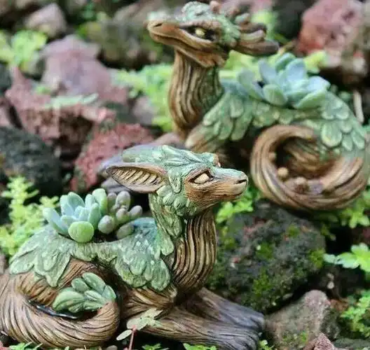 一种奇异的盆栽——树龙