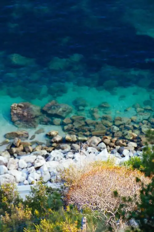 大连圣亚海洋世界旅游景点真实照片风景