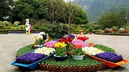 荷兰鲜花王国门票