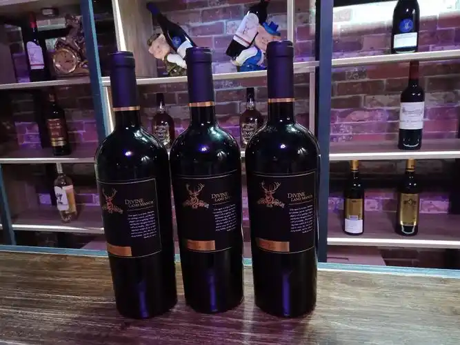 法国原装进口红酒批发全国招商加盟批发团购