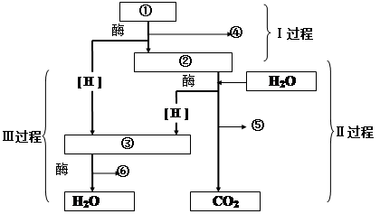 下图是有氧呼吸过程的图解请根据图回答下列问题