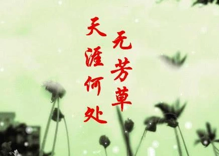 天涯何处无芳草,何必单恋一枝花 是什么意思