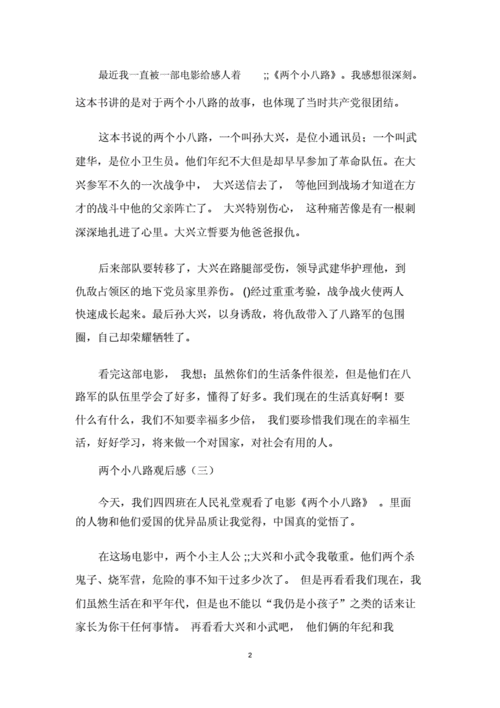 两个小八路观后感.docx 3页