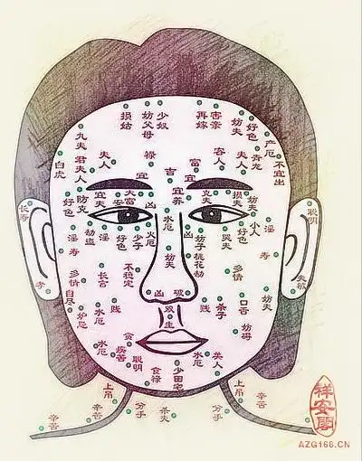 女痣的位置与命运