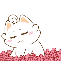 精神,是每一位韩风源人应有的工作作风,也是一个店面管理团队最简单