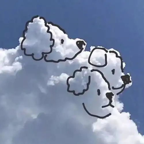 抖音2022最火朋友圈背景图_抖音热门2022最火朋友圈背景图大全