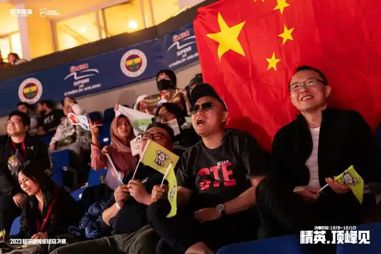 现场的中国观众.