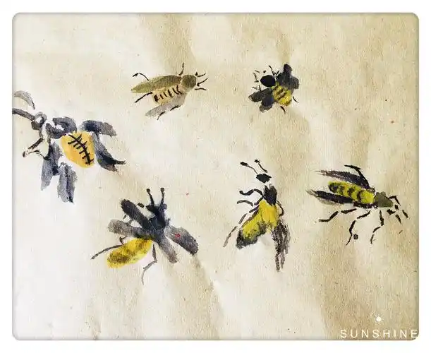 杨秀华国画网络课第十一节《蜜蜂的画法》 写美篇杨秀华 中国工笔画