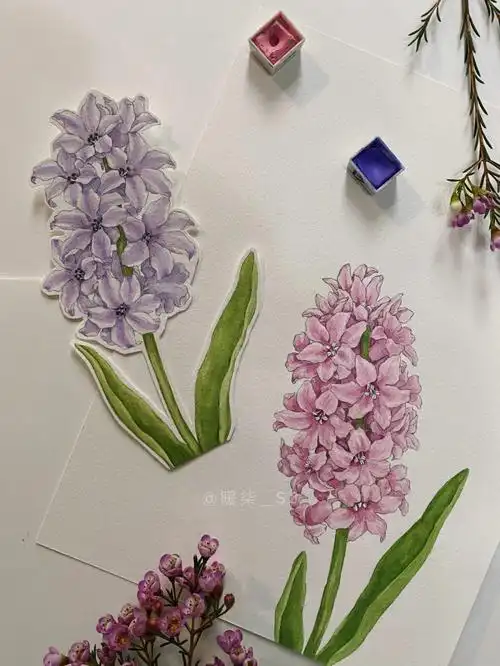 手绘花卉风信子