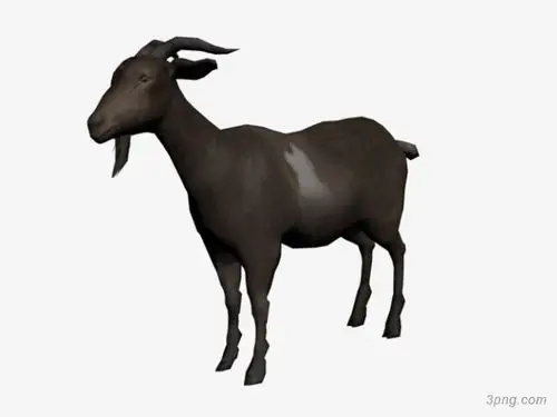 一头黑色山羊png素材透明免抠图片-动植人物