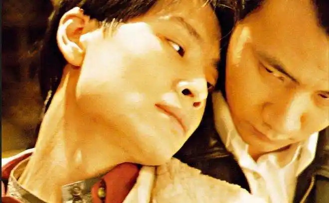 四大国产经典同性恋电影,每部都很虐心|同性恋|蓝宇|爱情_新浪新闻