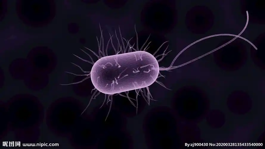 电子显微镜下的细菌微生物图片