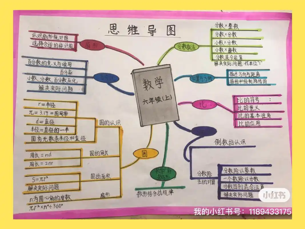 六年级上册数学总 (1～8单元)思维导图