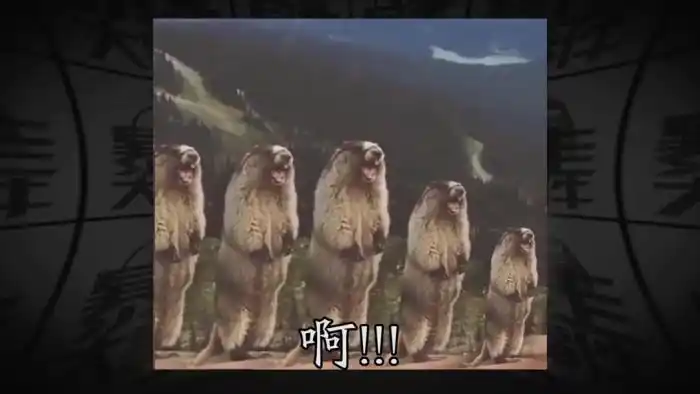 抖音敲黑板安利时间到转场视频