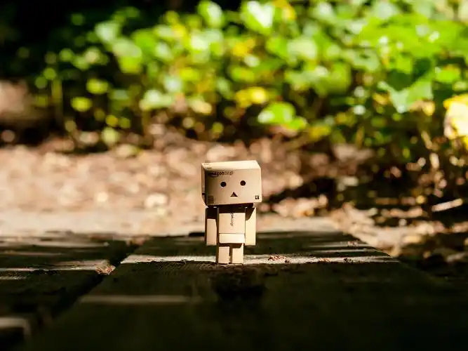 阿楞,纸盒人,danboard,小路,阳光,安静,发呆,felixschmidtphotography