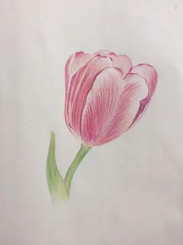 是不是很漂亮呢!