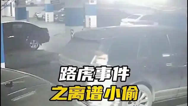 他是不是偷,我是车主能不知道?#离谱 #路虎 #路虎事件_网易视频