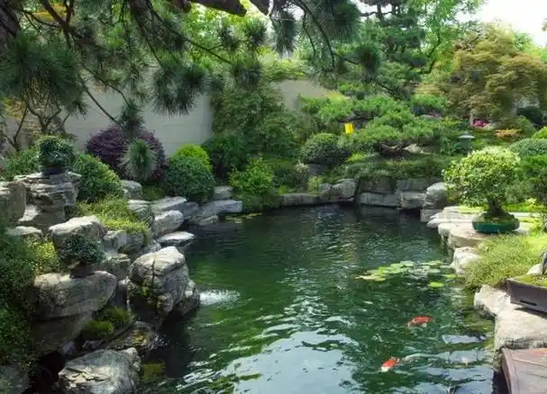 庭院水池设计妙处