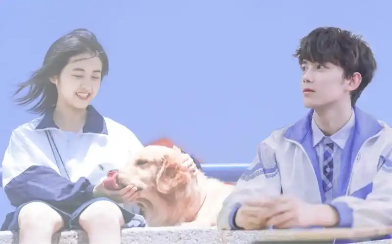 磊枫张子枫吴磊爱恋你是我年少的欢喜