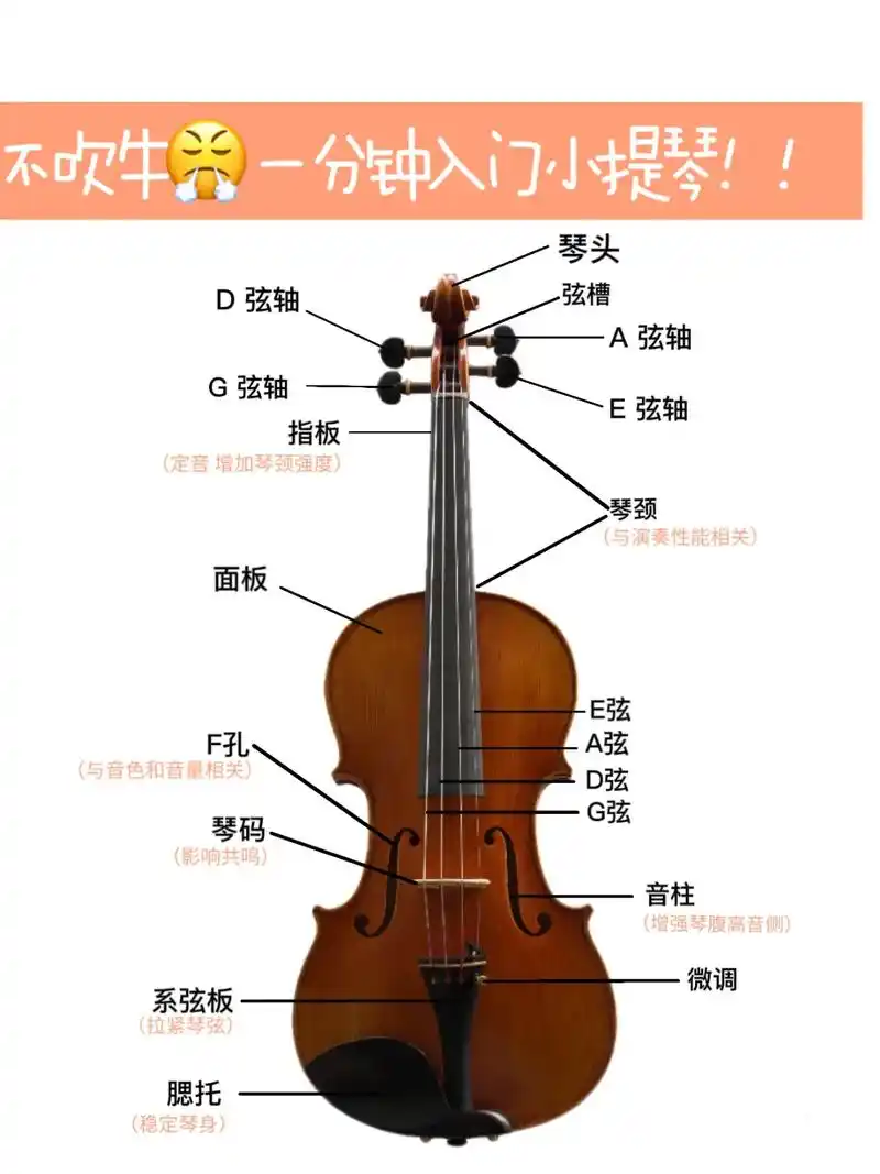 一分钟带你入门小提琴!认识小提琴把位图.