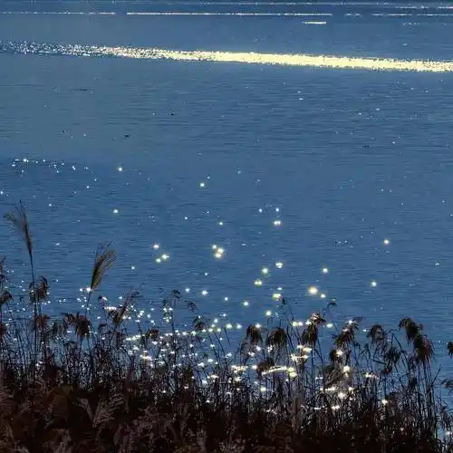 背景图|ins风高级感背景图_礼物_版权_整理