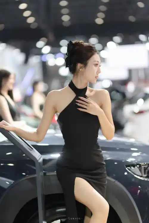 海口国际车展的车模小姐姐们_搜狐汽车_搜狐网